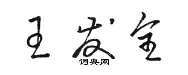 駱恆光王發全草書個性簽名怎么寫