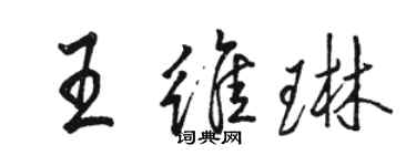 駱恆光王維琳行書個性簽名怎么寫
