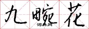 九畹花怎么寫好看