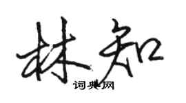 駱恆光林知行書個性簽名怎么寫