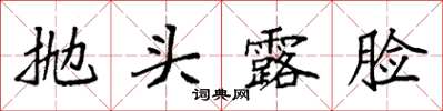 袁強拋頭露臉楷書怎么寫