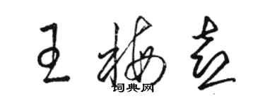 駱恆光王梅喜草書個性簽名怎么寫