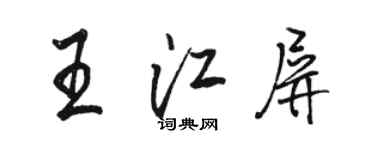 駱恆光王江屏行書個性簽名怎么寫