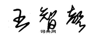 朱錫榮王智聲草書個性簽名怎么寫