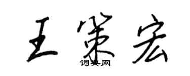 王正良王策宏行書個性簽名怎么寫