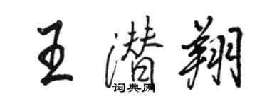 駱恆光王潛翔行書個性簽名怎么寫