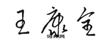 駱恆光王康全草書個性簽名怎么寫