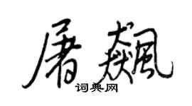 王正良屠飆行書個性簽名怎么寫