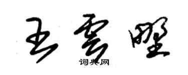 朱錫榮王雲野草書個性簽名怎么寫