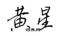 王正良黃星行書個性簽名怎么寫