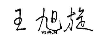 駱恆光王旭旋草書個性簽名怎么寫