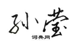 駱恆光孫瑩行書個性簽名怎么寫