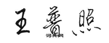 駱恆光王普照行書個性簽名怎么寫