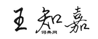 駱恆光王知嘉行書個性簽名怎么寫