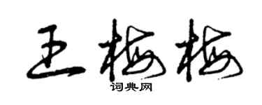 曾慶福王梅梅草書個性簽名怎么寫
