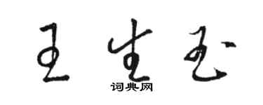 駱恆光王生玉草書個性簽名怎么寫