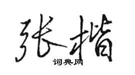 駱恆光張楷行書個性簽名怎么寫