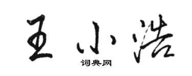 駱恆光王小浩行書個性簽名怎么寫
