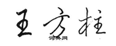 駱恆光王方柱行書個性簽名怎么寫