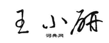 駱恆光王小研草書個性簽名怎么寫