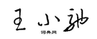 駱恆光王小弛草書個性簽名怎么寫