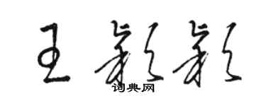 駱恆光王穎穎草書個性簽名怎么寫