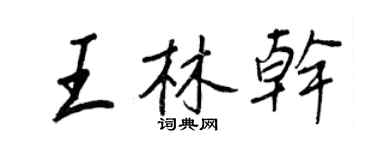 王正良王林乾行書個性簽名怎么寫