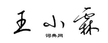 梁錦英王小霖草書個性簽名怎么寫