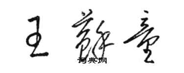 駱恆光王蘇童草書個性簽名怎么寫