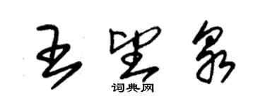 朱錫榮王望泉草書個性簽名怎么寫