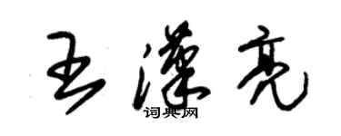 朱錫榮王漢亮草書個性簽名怎么寫