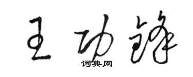 駱恆光王功鋒草書個性簽名怎么寫