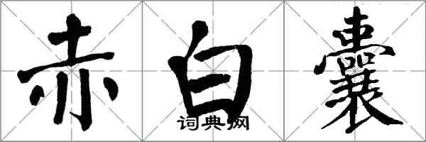 翁闓運赤白囊楷書怎么寫