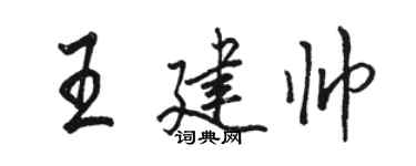 駱恆光王建帥行書個性簽名怎么寫