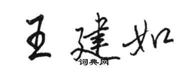 駱恆光王建如行書個性簽名怎么寫