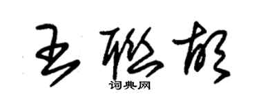 朱錫榮王聯胡草書個性簽名怎么寫