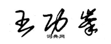 朱錫榮王功峰草書個性簽名怎么寫