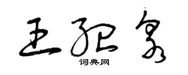曾慶福王紀泉草書個性簽名怎么寫