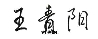 駱恆光王青陽行書個性簽名怎么寫