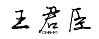 曾慶福王君臣行書個性簽名怎么寫