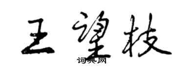 曾慶福王望枝行書個性簽名怎么寫
