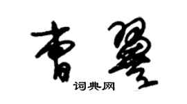 朱錫榮曹翼草書個性簽名怎么寫