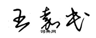 朱錫榮王嘉民草書個性簽名怎么寫