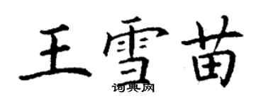 丁謙王雪苗楷書個性簽名怎么寫