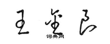 駱恆光王金良草書個性簽名怎么寫