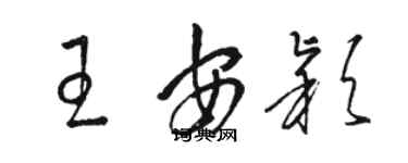 駱恆光王安穎草書個性簽名怎么寫