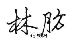 駱恆光林肪行書個性簽名怎么寫