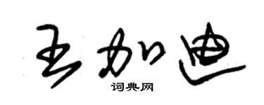 朱錫榮王加迪草書個性簽名怎么寫