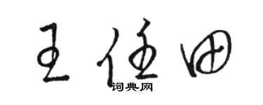 駱恆光王任田草書個性簽名怎么寫
