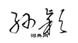 駱恆光孫穎草書個性簽名怎么寫